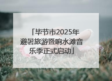 毕节市2025年避暑旅游暨响水滩音乐季正式启动